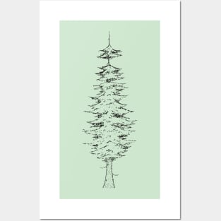 Fir tree Posters and Art